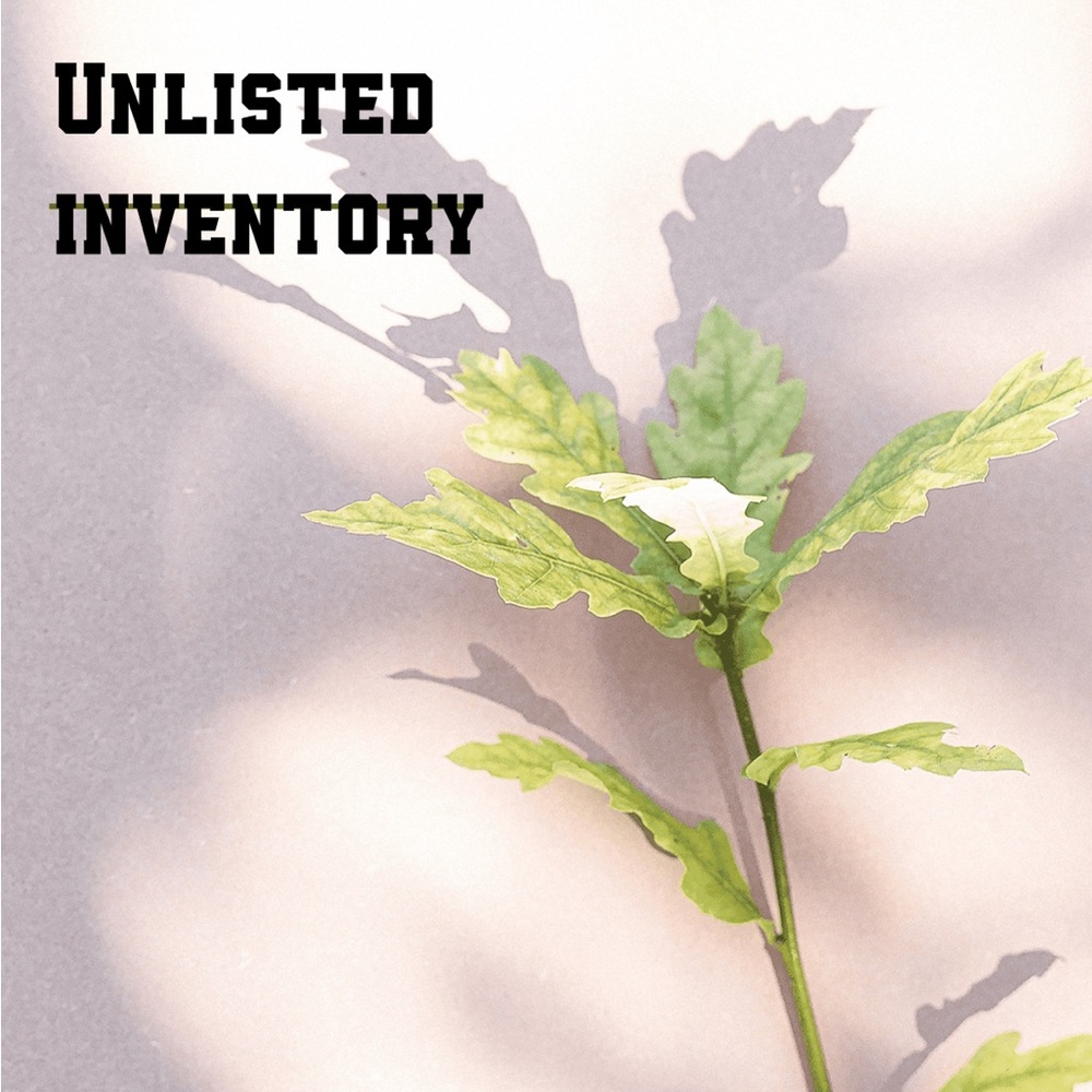 Unlisted Inventory